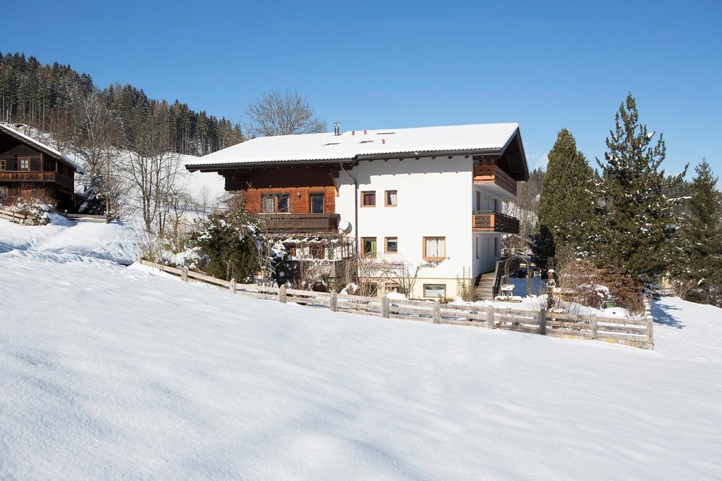Apartment Alpbach *